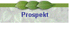 Prospekt